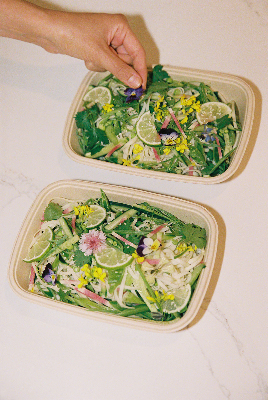 The Family Plan - 12 Meals