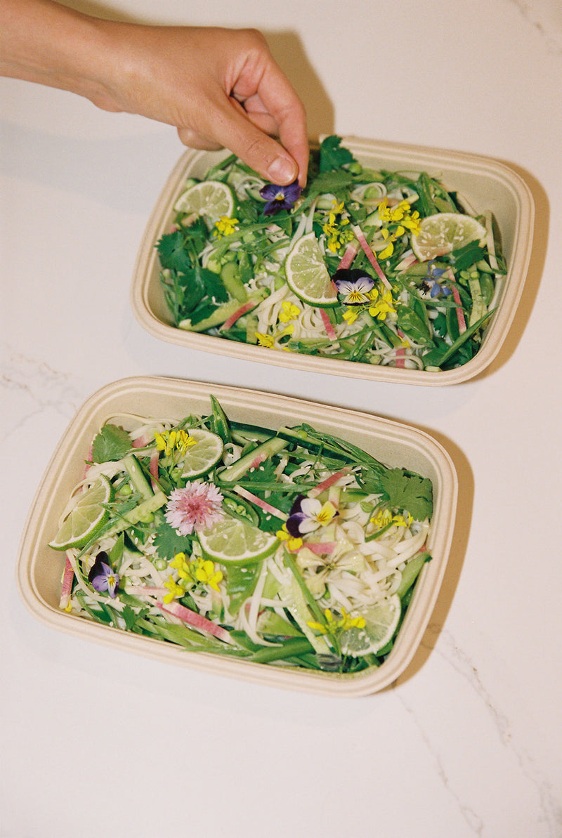 The Family Plan - 12 Meals